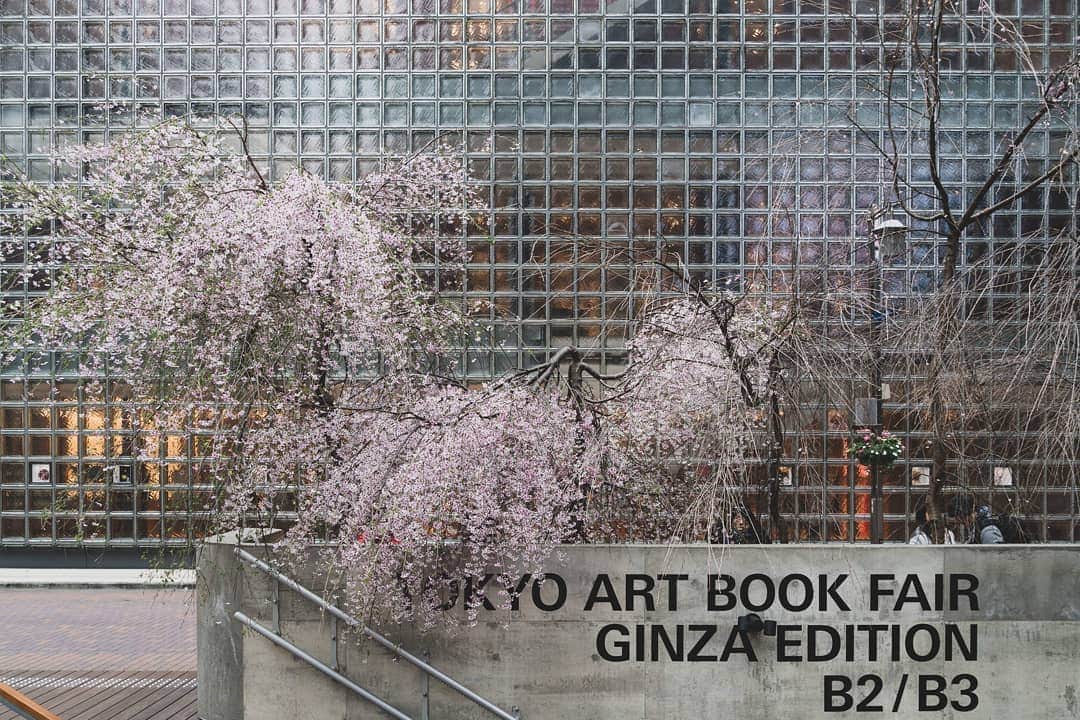 GINZA SONY PARK PROJECTさんのインスタグラム写真 - (GINZA SONY PARK PROJECTInstagram)「​個性豊かなアートブックとの出会いや魅力を楽しめる「#006 TOKYO ART⁣ BOOK FAIR: Ginza Edition」をB2/B3フロアで開催中。⁣ ⁣ ⁣平日限定で登場するアートブック販売機や、ZINE'S MATE SHOPとともに、地上のシダレザクラもお楽しみください。⁣ ⁣ ⁣#ginzasonypark⁣ #銀座ソニーパーク #GS89 #TABF #TOKYOARTBOOKFAIR #アートブック #ZINE #zinesmate #ZinesMateShop⁣#artbook #読書 #本 #ginza #銀座 #桜 #シダレザクラ」4月3日 10時41分 - ginzasonypark
