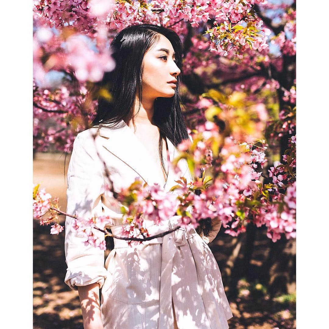 河内セリアさんのインスタグラム写真 - (河内セリアInstagram)「お花見したいな🌸🌸 #cherryblossom」4月3日 10時48分 - seriakawachi