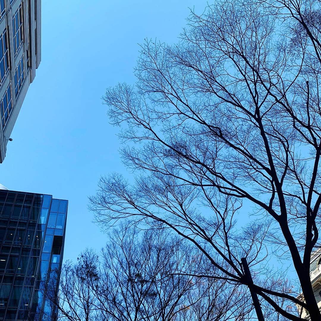 三倉茉奈さんのインスタグラム写真 - (三倉茉奈Instagram)「ここ何日かひんやりしてますね。 地域によっては雪やひょうが降ったりしたとか？風邪引かないように気をつけましょう。 寒いのは苦手だけど、空気が澄んでる空は好き。細い木の枝と青い空のコントラストが好きで、良く撮ってしまうこのアングル。 #空 #sky #blue #細い枝が綺麗 #明日からはあったかいとか」4月3日 11時11分 - mana_mikura_official