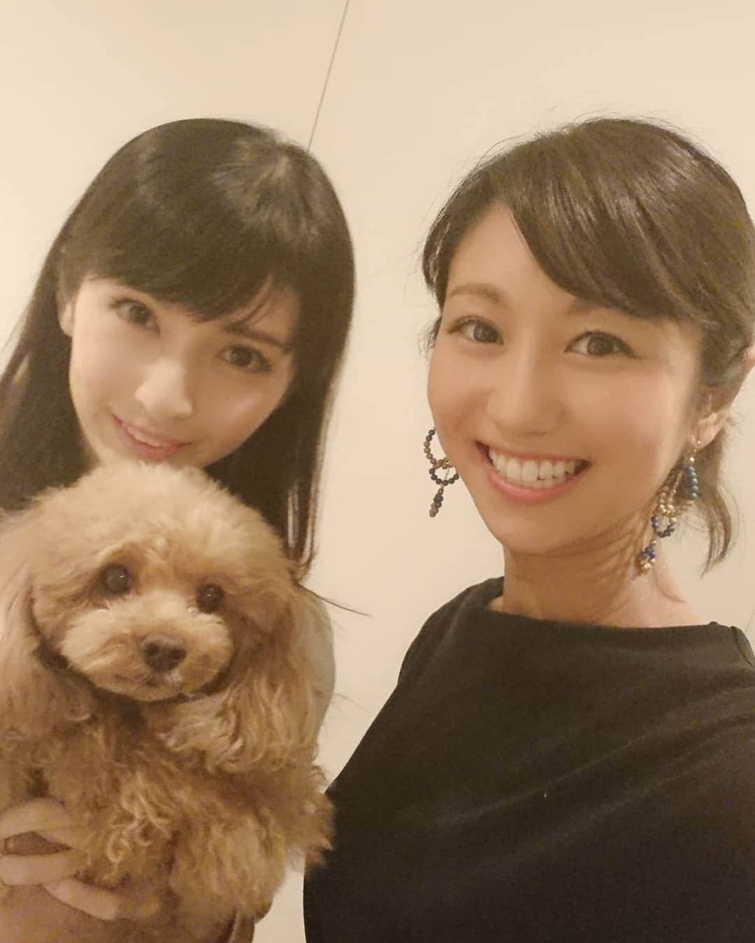 酒井千佳さんのインスタグラム写真 - (酒井千佳Instagram)「* ゆうきちゃんとこゆきちゃん。 こないだゆうきちゃんのお家に お邪魔したよ。  こゆきちゃん めっちゃかわいかったんだけど 近づきすぎるとうーって言われた。 また遊びに行って もっと仲良くなりたい。  #距離感大事 #川村優希  #トイプー  #わんちゃん飼いたい #ねこちゃんも飼いたい #とりあえずペット可の家に引っ越そうと思ってる」4月3日 11時14分 - sakaichikaaaa