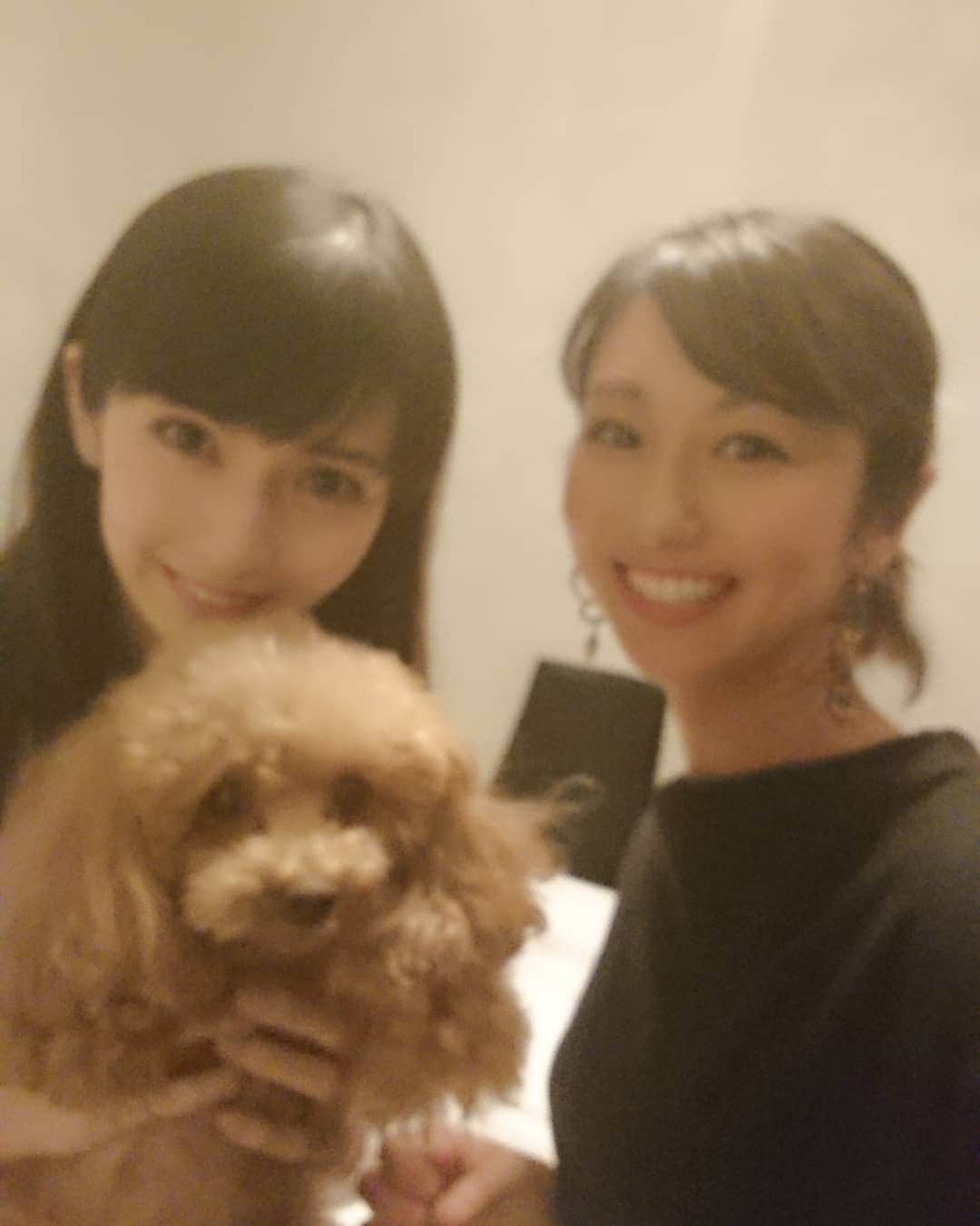 酒井千佳さんのインスタグラム写真 - (酒井千佳Instagram)「* ゆうきちゃんとこゆきちゃん。 こないだゆうきちゃんのお家に お邪魔したよ。  こゆきちゃん めっちゃかわいかったんだけど 近づきすぎるとうーって言われた。 また遊びに行って もっと仲良くなりたい。  #距離感大事 #川村優希  #トイプー  #わんちゃん飼いたい #ねこちゃんも飼いたい #とりあえずペット可の家に引っ越そうと思ってる」4月3日 11時14分 - sakaichikaaaa