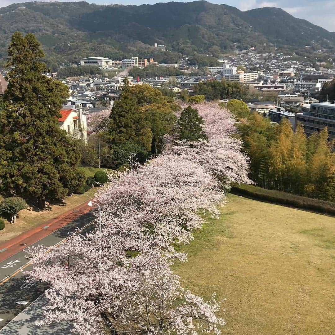 福岡女子短期大学のインスタグラム