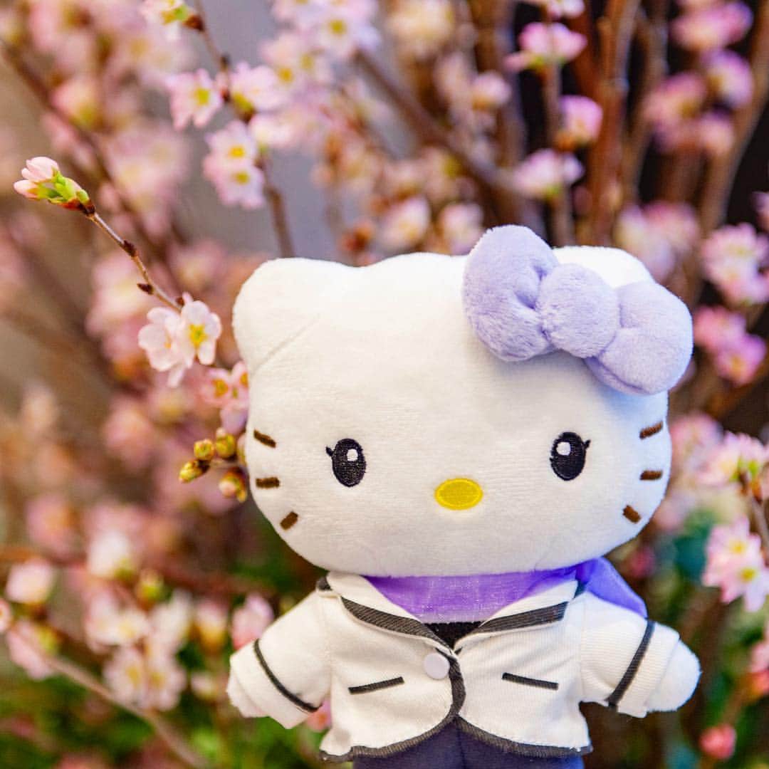 ホテルオーレ　ブロッサモーレのグルメインスタ