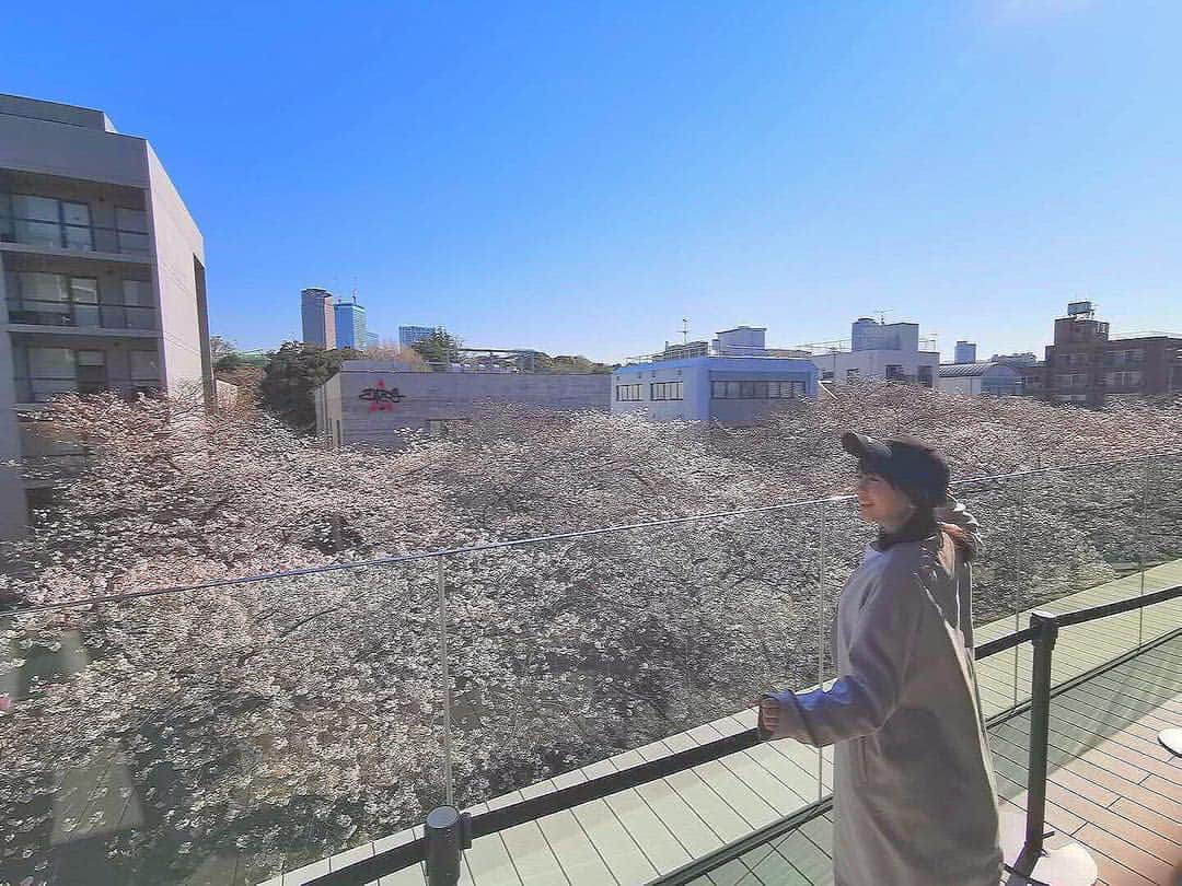 坪井安奈のグルメインスタ