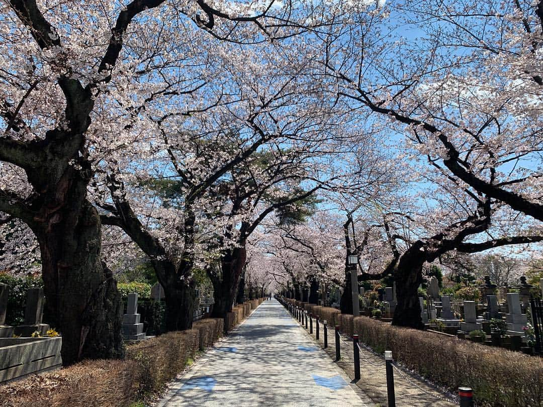 キム・ジョーンズさんのインスタグラム写真 - (キム・ジョーンズInstagram)「Konichiwa 🌸 🌸 🌸」4月3日 11時55分 - mrkimjones