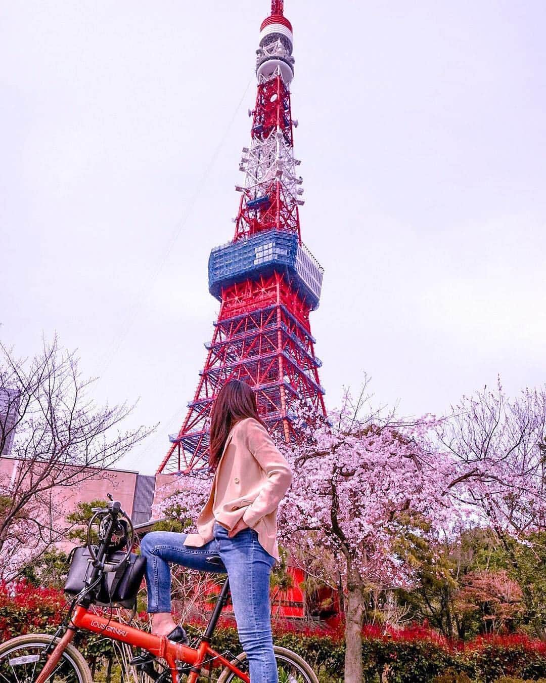のインスタグラム：「こんにちは😊 「春」を楽しんでいるお写真は 「#タビジョ」とあわせて 「#tabijyo_spring」でお待ちしてます🌸 本日はこちら💕 ＊＊＊＊＊＊ 📸@natsukioroさん 🚩東京・「芝公園周辺」 🎙ご本人コメント(一部抜粋) Sakura cherry blossom 🌸 season #traveltokyo . せっかくの花見シーズンなのに天気が連日悪いのが残念ですが久々にゆっくり日本の桜を見ることができました。 . 大好きな増上寺に行こうかなとおもったら東京タワーが見えるウカイ🗼の近くの公園の桜が綺麗に咲いてたので愛車と一緒に撮りました ＊＊＊＊＊＊ 東京の新たな魅力が伝わるステキなお写真ありがとうございます💝 ＊＊＊＊＊＊ 【タビジョレポーターinマレーシア・ボルネオ島 募集中】 （～ 4/8 AM10時まで！） 熱帯雨林と美しいビーチが楽しめるレジャーの宝庫✨ 海と山をいっぺんに楽しみたい欲張りな女子におすすめしたいリゾート地🏝マレーシア・ボルネオ島！ ※詳細は、アカウント🔝のURLから チェックしてください😊 @tabi_jyo ＊＊＊＊＊＊ 【「#タビジョラン」NEWイベント 2019年4月20日(土)参加者募集中👭】 「一生に一度はホノルルマラソンに出てみたい」 と思ったことありませんか？ 今回のイベントの舞台は、海沿いランで ハワイ気分を味わえる「横浜」✨ そしてゴールは、ハワイイベントの会場⁉️ 「初心者」「お1人参加」大歓迎！ ご参加おまちしてます😊 ※詳細は、アカウント🔝のURLから チェックしてください😊 @tabi_jyo ＊＊＊＊＊＊ #タビジョ #タビジョと繋がりたい #tabijyo_spring #tabijyomap_tokyo」