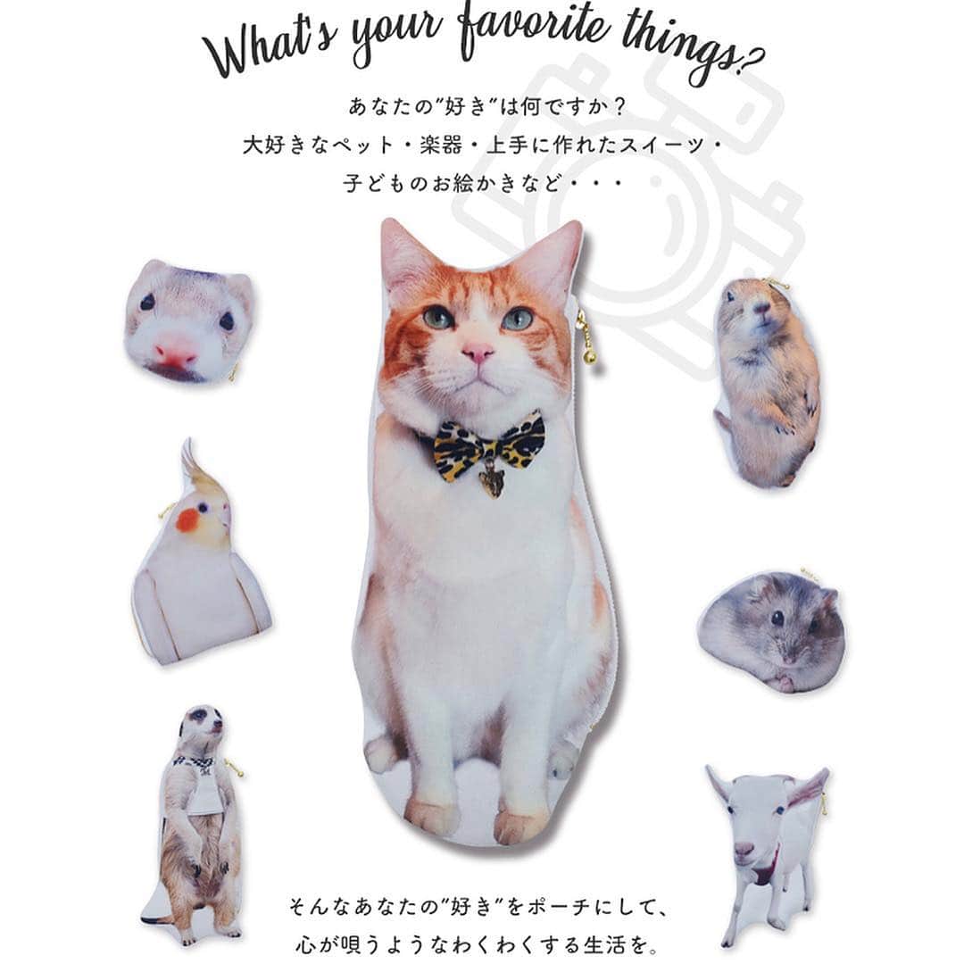 hamster_mocoさんのインスタグラム写真 - (hamster_mocoInstagram)「これでボクも一人前のハムモでちゅ🐹✨😂 ･ この度我が家のミチくんがシング･シング･シングさん @sing_thing_sing のペットモデルをさせて頂きました〜👏 その完成したミチくんグッズの詰め合わせがお礼のお品として届いたよ😳🐹✨ ･ ☺︎︎オーダーメイドクッション ☺︎︎オーダーメイドポーチ ☺︎︎オーダーメイドアイシングクッキー ☺︎︎オーダーメイドブローチ ･ どの商品も可愛さの極みっっ😍👍🐹可愛すぎて使うのがもったいないのでしばらくは眺めて楽しませていただきます🥺💓 ･ @sing_thing_sing さま、このような機会を与えて頂き本当にありがとうございました😭🙏🏻✨ sing.sing.sing⇒ https://singthingsing.com/ ☺︎︎ それにしてもアイシングクッキー可愛すぎて絶対食べれない😭🍪🐹💓 2019.4.3 ☺︎︎ #ハムスターミチ#ハムスター#ジャンガリアンハムスター#ジャンガリアン#ブルーサファイア#ブルーサファイアハムスター#ジャンガリアンブルーサファイア#ふわもこ部 #モフモフ#ペット#小動物 #hamster#djungarian#hamstagram#hammy#happy_pets#PET_OF_OUR_WORLD#igersjp#ig_japan#instapet#weeklyfluff#kawaii#cute#仓鼠#정글리안#햄스터」4月3日 12時05分 - asahi.fl