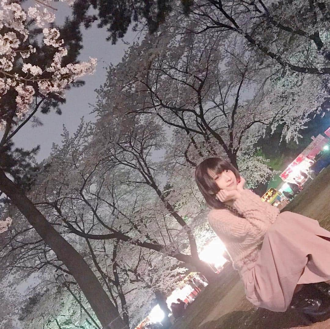 火将ロシエルさんのインスタグラム写真 - (火将ロシエルInstagram)「🌸Cherry Blossoms🌸」4月3日 12時06分 - kasyou3roshieru