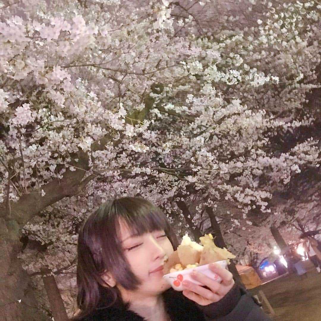 火将ロシエルさんのインスタグラム写真 - (火将ロシエルInstagram)「🌸Cherry Blossoms🌸」4月3日 12時06分 - kasyou3roshieru