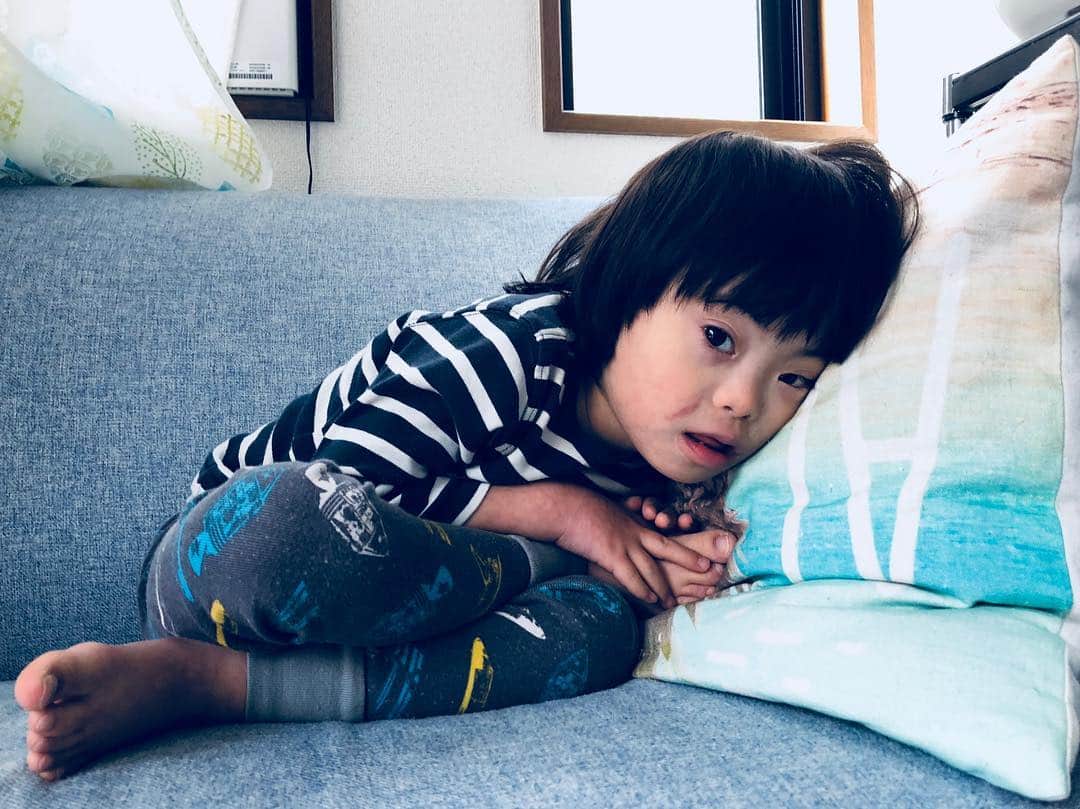 龍円愛梨さんのインスタグラム写真 - (龍円愛梨Instagram)「Nico has been sick for a couple of days:( Get well soon. 新年度初日に発熱。40.5度！インフルかと思ったけど陰性。風邪ってことで様子見になってます。」4月3日 12時11分 - airi_ryuen