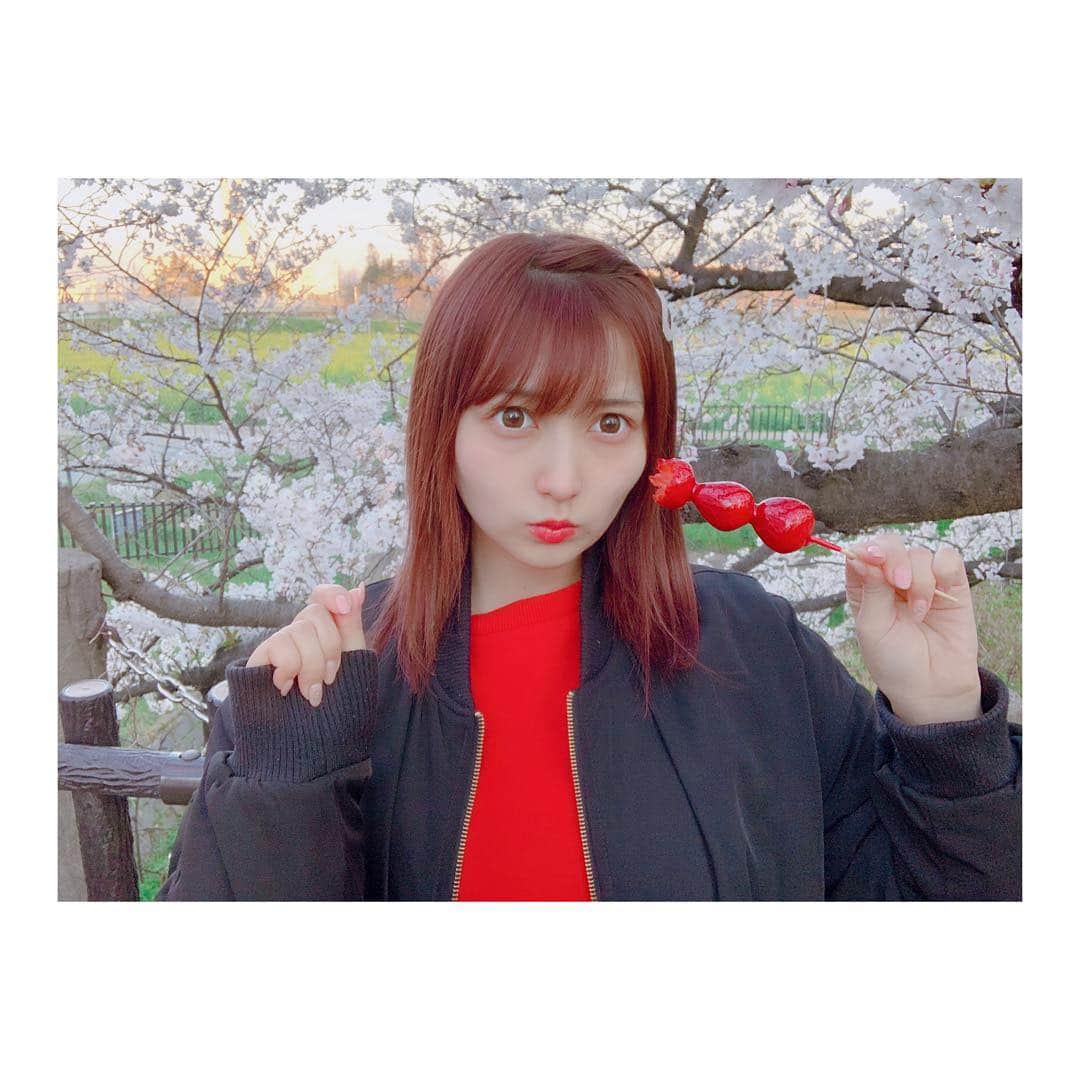 太田里織菜さんのインスタグラム写真 - (太田里織菜Instagram)「. イチゴ飴大好き🍓 初めて食べたとき衝撃的なうまさだった🍓 . 埼玉の"幸手権現堂桜堤"に行ってきました(。❁ω❁。) . #らぶどる #お花見 #桜 #埼玉 #埼玉桜 #埼玉桜名所 #権現堂 #権現堂桜堤 #幸手権現堂桜堤 #イチゴ #イチゴ飴」4月3日 12時13分 - riopyon1231