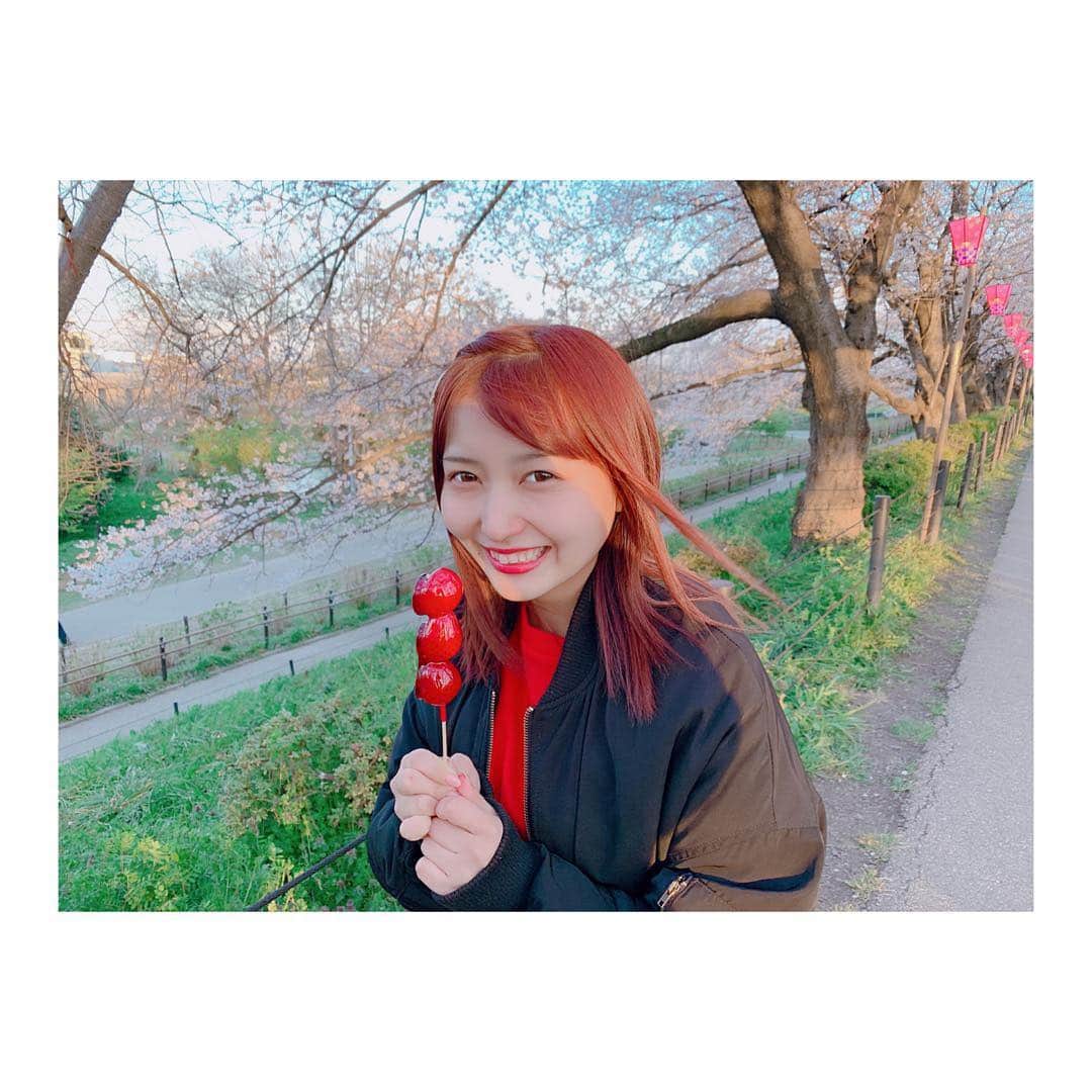 太田里織菜さんのインスタグラム写真 - (太田里織菜Instagram)「. イチゴ飴大好き🍓 初めて食べたとき衝撃的なうまさだった🍓 . 埼玉の"幸手権現堂桜堤"に行ってきました(。❁ω❁。) . #らぶどる #お花見 #桜 #埼玉 #埼玉桜 #埼玉桜名所 #権現堂 #権現堂桜堤 #幸手権現堂桜堤 #イチゴ #イチゴ飴」4月3日 12時13分 - riopyon1231