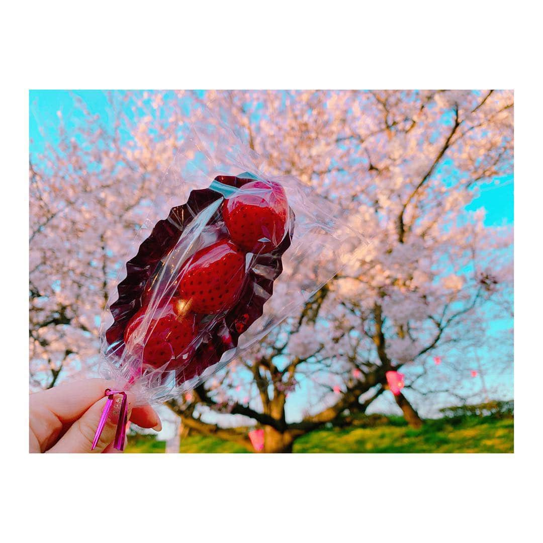 太田里織菜さんのインスタグラム写真 - (太田里織菜Instagram)「. イチゴ飴大好き🍓 初めて食べたとき衝撃的なうまさだった🍓 . 埼玉の"幸手権現堂桜堤"に行ってきました(。❁ω❁。) . #らぶどる #お花見 #桜 #埼玉 #埼玉桜 #埼玉桜名所 #権現堂 #権現堂桜堤 #幸手権現堂桜堤 #イチゴ #イチゴ飴」4月3日 12時13分 - riopyon1231