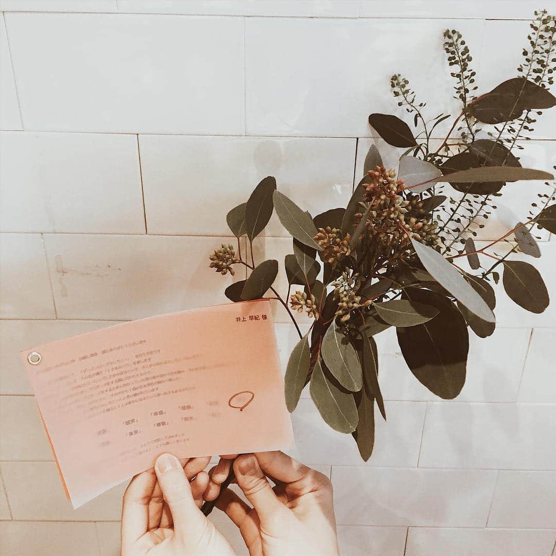 井上早紀さんのインスタグラム写真 - (井上早紀Instagram)「#花のある暮らし をしたいのだけどなかなか🌿🥺 花言葉も好きだったりします。」4月3日 12時14分 - _is__231