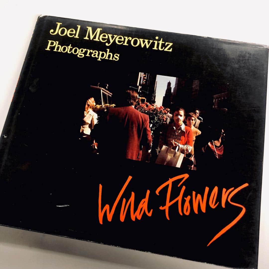 ブルータスさんのインスタグラム写真 - (ブルータスInstagram)「【花と花束★発売中】ニューカラーの巨匠、ジョエル・マイロウィッツ（81歳）のインタビューは、花の特集を作るならぜひ入れたかった企画です。もちろん取り上げた写真集は『WILD FLOWERS』（1983年刊）。有名な表紙の写真は1974年にニューヨークの42丁目で撮影されたもの。花束を持って歩いていた男の後ろをついていって撮影したものだそうです。ちなみに男が持っている花は色違いの菊ですが、抱えた感じからすると花束ではなく鉢植えかもしれません。長らくプレミアムがついていた写真集ですが、ニュー・エディションの『WILD FLOWERS』が今年刊行されるという噂も。ブルータス最新号は花特集。様々な角度から花の魅力を取り上げました。#BRUTUS #ブルータス #花 #WildFlowers #JoelMeyerowitz」4月3日 12時26分 - brutusmag