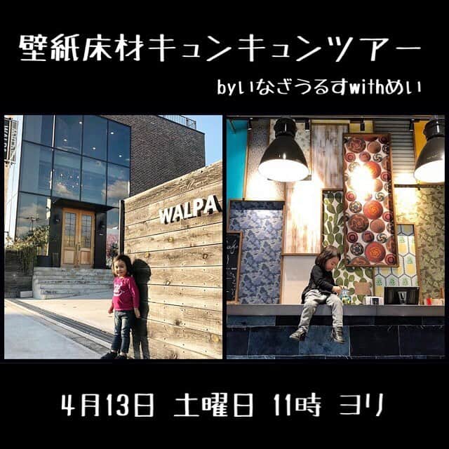 いなざうるす屋さんのインスタグラム写真 - (いなざうるす屋Instagram)「一緒にキュンキュンしましょ in大阪！ まずはWALPAで輸入壁紙にキュン💕 そして壁紙屋本舗ラボで国産壁紙・床材にキュン💕 ・お子ちゃん連れ大歓迎。めいもいます♪ ・途中参加・途中退出OK ・WALPA OSAKA に駐車場アリ . ちなみに。 このツアーは私の完全なる趣味です！ WALPAさん・壁紙屋本舗さんとビジネス的な絡みゼロ。 . イチWALPAファン・イチ壁紙屋本舗ファンとしてオタクとして企画しました！ . いまんとこ。 5名確定。都合つけば行きたいと言ってくれてる方が7名くらい。 . . 行きたい！興味あり！予定あえば行きたい！て方がいらっしゃればコメントください♫ . . #床材オタク #壁紙オタク #輸入壁紙オタク #床材マニア #壁紙マニア #輸入壁紙マニア #壁紙 #輸入壁紙 #wallpaper #walpa  #床材 #クッションフロア #クッションシート #壁紙屋本舗」4月3日 23時20分 - inazaurusu_ya