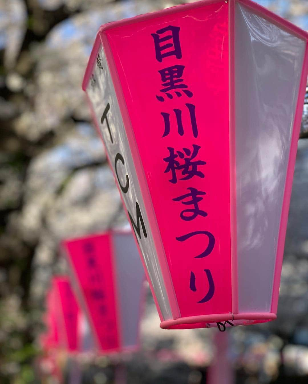 紗倉まなさんのインスタグラム写真 - (紗倉まなInstagram)「仕事前に、事務所のみんなと花見へ🌸春めいた目黒川、美しいけどやはり人混みがすごい...めくるように唐突にやってくる春という優しい季節の儚さを、少しでも感じられて良かった。寒さの終止符はいつ打たれるのかなー。東京も早くあたたかくならないかな。 #花見🌸 #中目黒 #目黒川 #マインズ大集合👭」4月3日 21時56分 - sakuramanateee