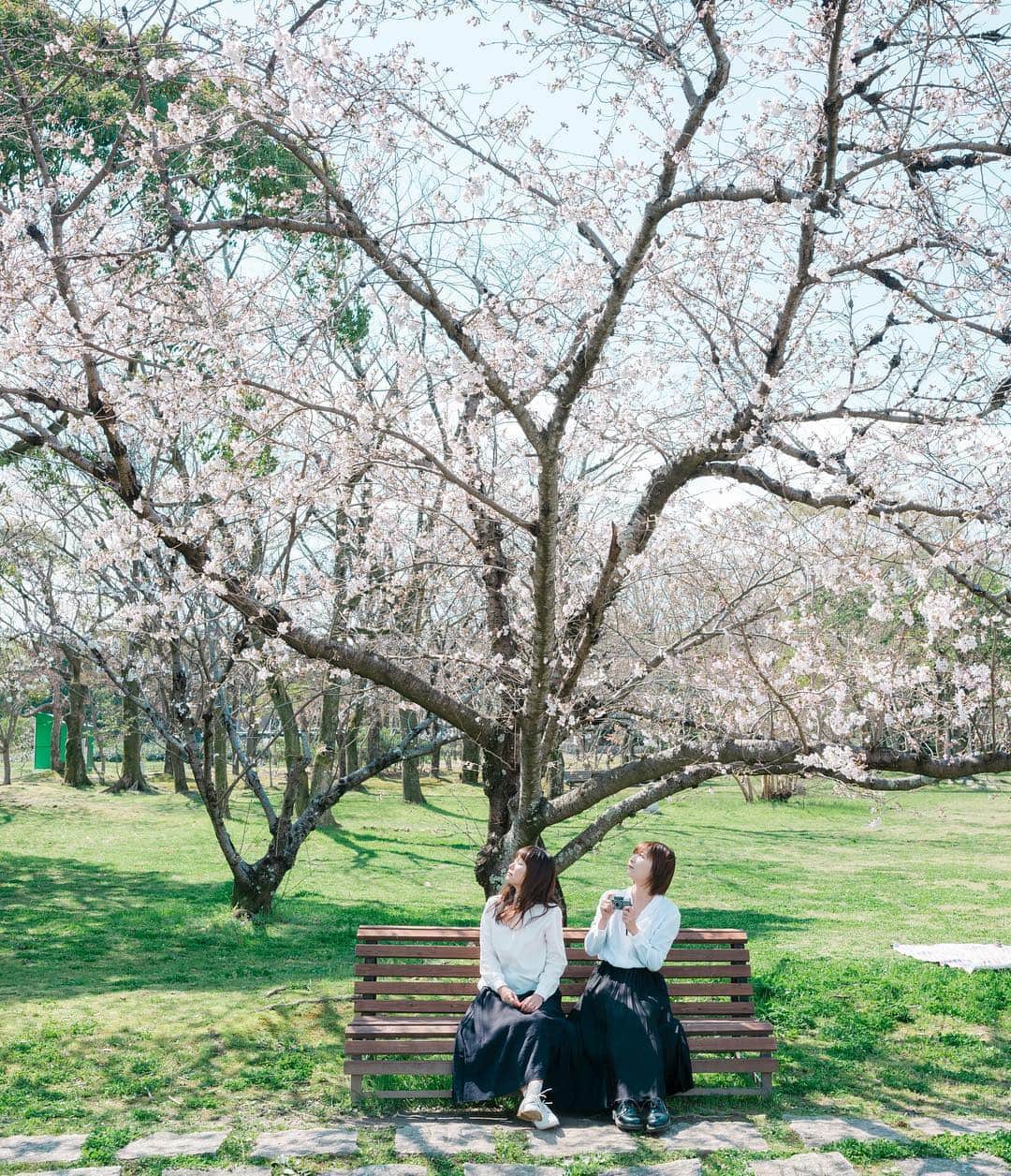 Kobe Japan Water artのインスタグラム：「"Sakura hunters" 🌸. さくらハンター. #いい花見場所を見つけることが生きがい #ふたりのおあそび.」