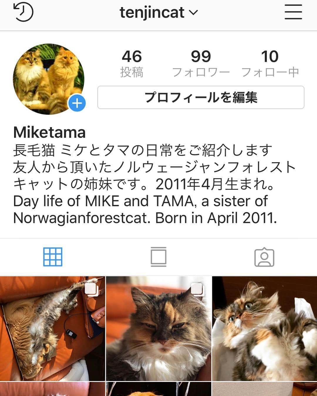 天神英貴さんのインスタグラム写真 - (天神英貴Instagram)「再度お知らせ  猫の写真はこちらのアカウントにアップしてまいりますので、猫ファンの皆様は @tenjincat  フォローおねがい致します！ The cats photo moved new cat’s account. If you love cats,please follow this @tenjincat」4月3日 21時50分 - tenjin_hidetaka
