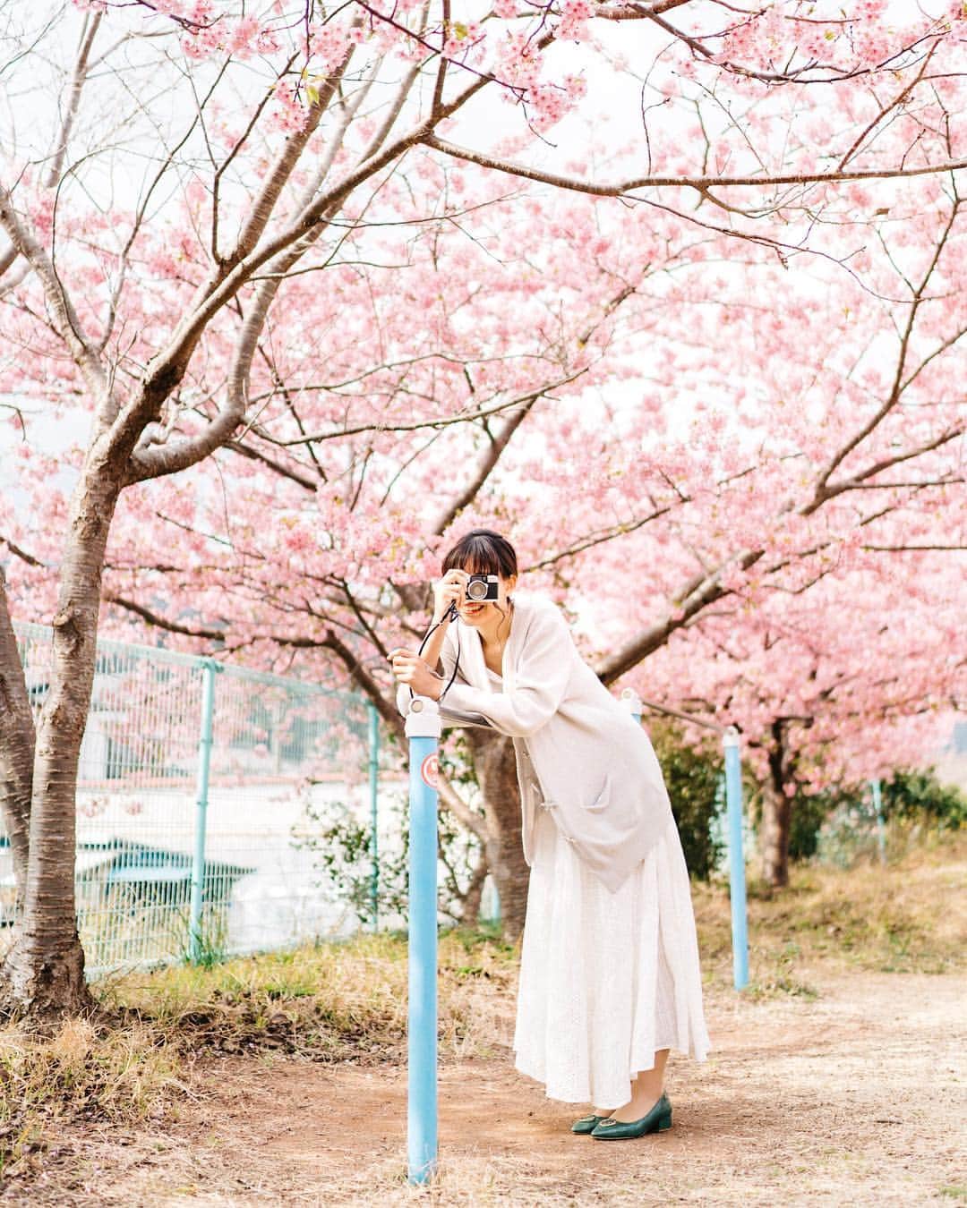 GENTAさんのインスタグラム写真 - (GENTAInstagram)「🌸今年は桜が長持ちなので得した気分☺︎ ㅤ My original Lightroom presets were released at @curbonjp . Please check the URL on my profile for detail. ㅤ 僕のオリジナルLightroomプリセットが @curbonjp から発売されました。配信されているプリセットは僕が実際に写真編集で利用しているものです。プリセットの詳細はプロフィールのURLからご確認ください。 ㅤ」4月3日 21時51分 - gnta