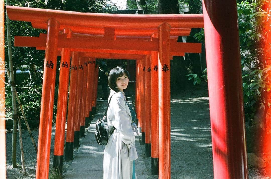 のインスタグラム：「その先 * * 来宮神社といえば夜のイメージ。 本当はライトアップが綺麗な時間までいたかったなぁ。。 大きな御神木にパワーをもらえたかな * * #熱海 #来宮神社 #神社 #鳥居 #フィルムカメラに恋してる #konicac35」