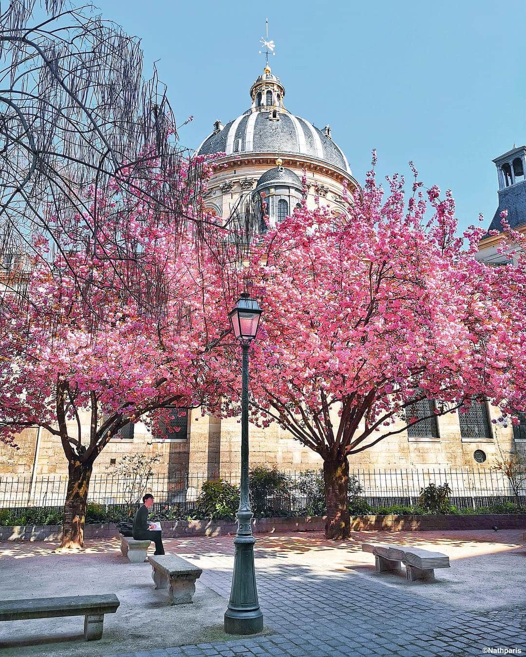 nathparisのインスタグラム：「🌸🌸🌸 #paris」