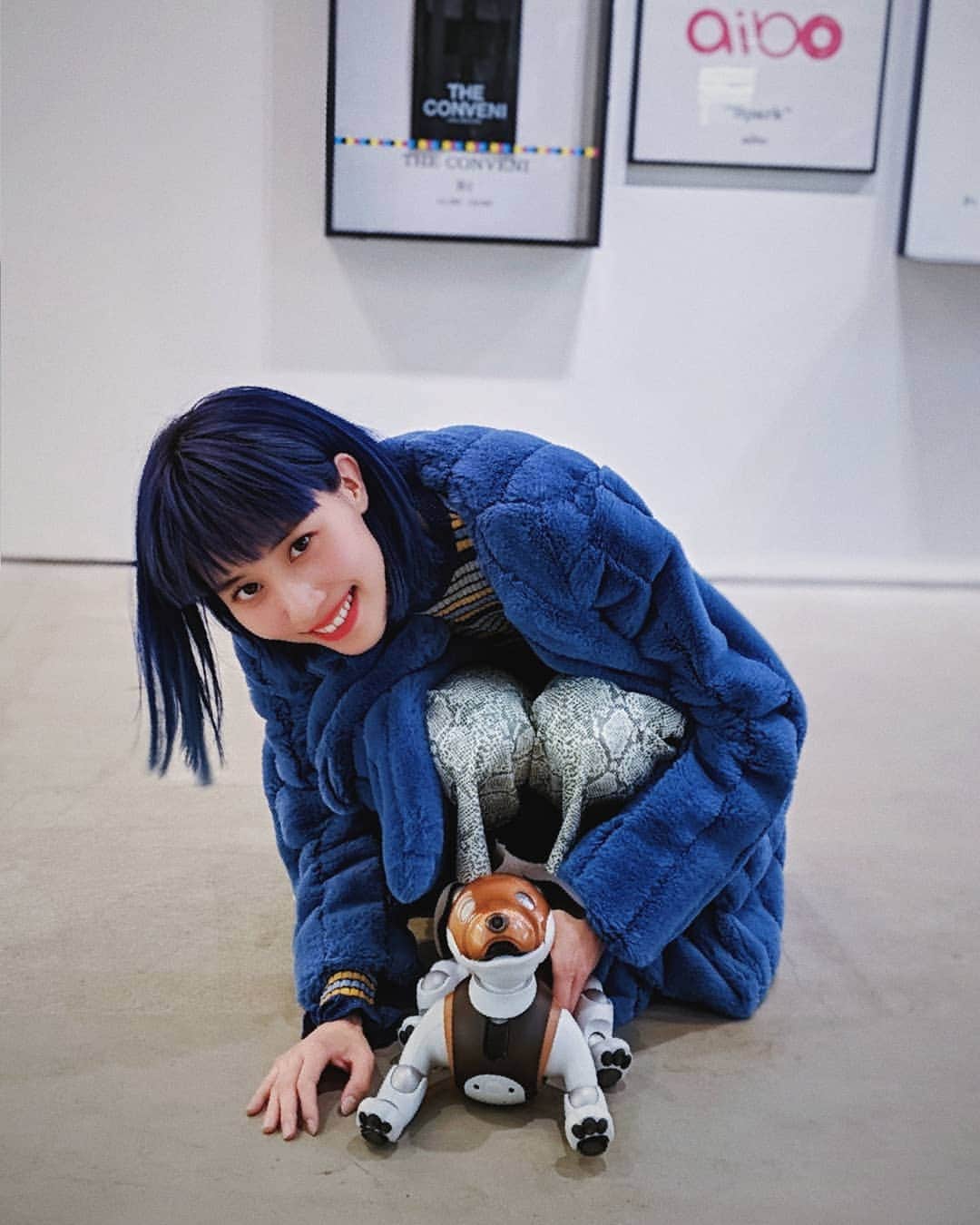 草野絵美のインスタグラム：「Chocolat ちゃん🐕🐾🐩 愛くるしい…本物の生き物はいらないから我が家にも欲しいよぉ。。。。😭 . . #sonyaibo #aibo #robotdog #bluehair #dollskill #gvgv #ginzasonypark」