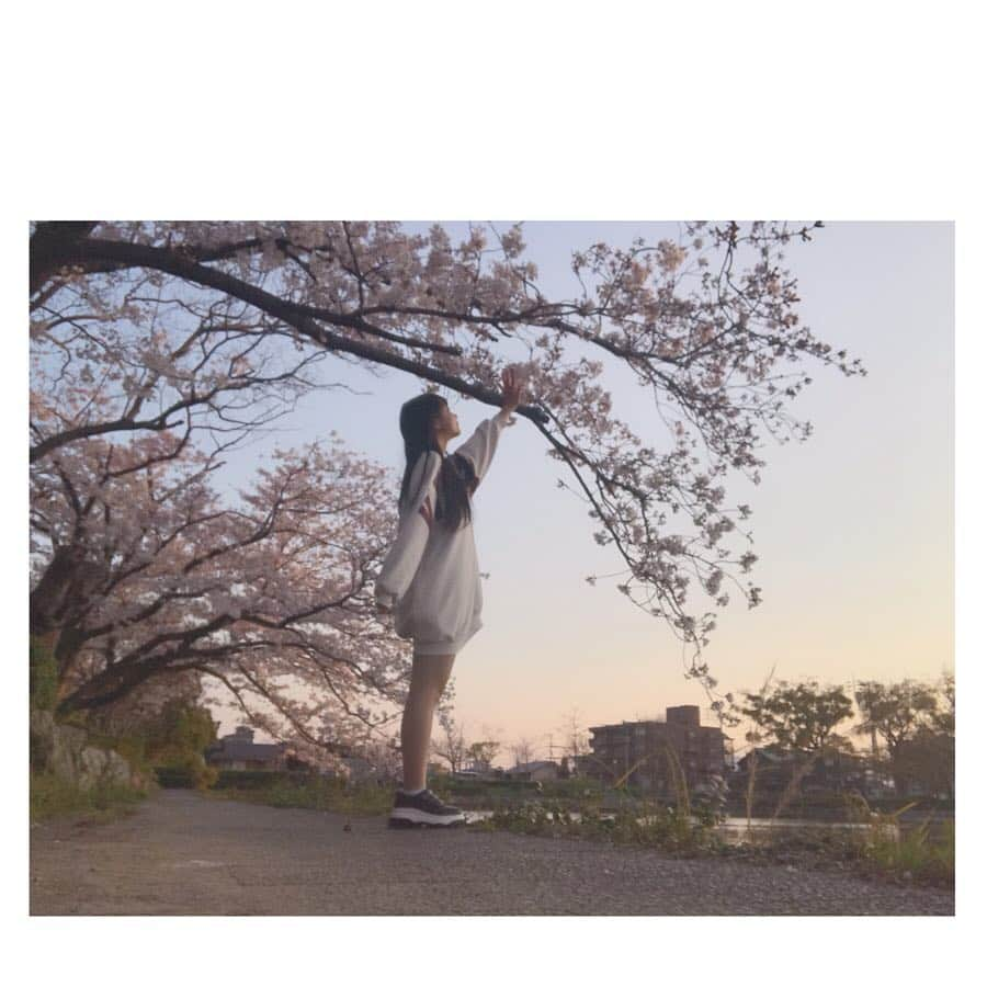 馬場彩華さんのインスタグラム写真 - (馬場彩華Instagram)「🌸🌸🌸 . 佐賀城公園のおほりの桜見てきました🌸 . 夕方で寒かったけど🥶🍃 夕方で風強かったけど🥶🍃 . 空も桜もめちゃくちゃ綺麗💭💎 . 今のうちに桜綺麗なところ巡りでもしたいな🌸🌸 . #佐賀県 #佐賀市 #佐賀城公園 #お堀 #桜 #🌸」4月3日 22時03分 - s2yklo