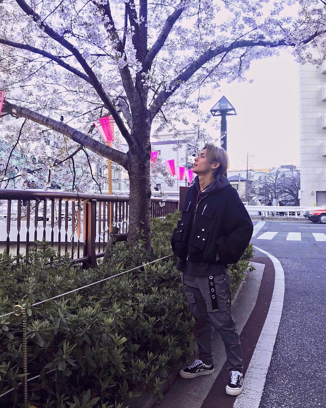 KSUKEさんのインスタグラム写真 - (KSUKEInstagram)「春感じてる、けど寒い。🍀🥶🌸 #CherryBlossom」4月3日 22時03分 - ksuke_jpn