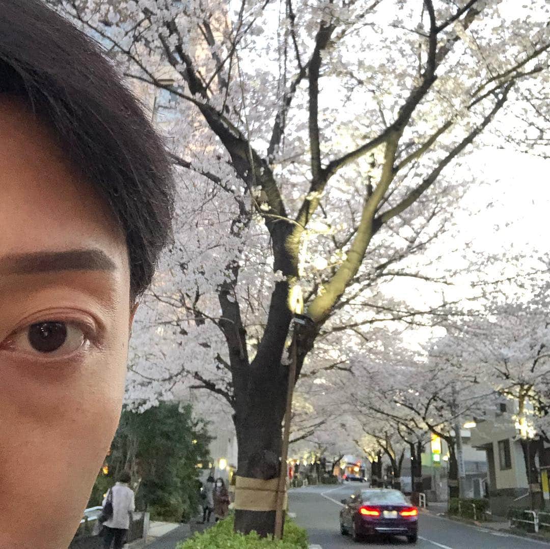 市川蔦之助のインスタグラム