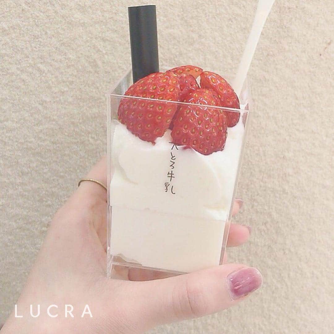LUCRA（ルクラ）さんのインスタグラム写真 - (LUCRA（ルクラ）Instagram)「群馬県にある「大とろ牛乳」 ㅤㅤㅤ  シャーベットに近い、新食感スイーツが美味しいと話題です♥ ㅤㅤㅤ  種類も豊富なのでぜひ行ってみてくださいね！ ㅤㅤㅤ  #大とろ牛乳#群馬カフェ ㅤㅤㅤ  LUCRA公式Instagram上で紹介させて頂くお写真を募集中！写真に#lucrajp をつけるかタグ付けして投稿してくださいね♡ ㅤㅤㅤ  #カフェ #カフェ巡り #渋谷カフェ#代官山カフェ#表参道カフェ #中目黒カフェ #食べ歩き#名古屋カフェ#カフェ巡り好きな人と繋がりたい#カフェ好きな人と繋がりたい#インスタ映え#カフェ好き #タピ活#タピオカ#いちごみるく#いちご#shibuya#instagood#instalike#like4like#followme#tapioca #food」4月3日 22時06分 - lucra_app