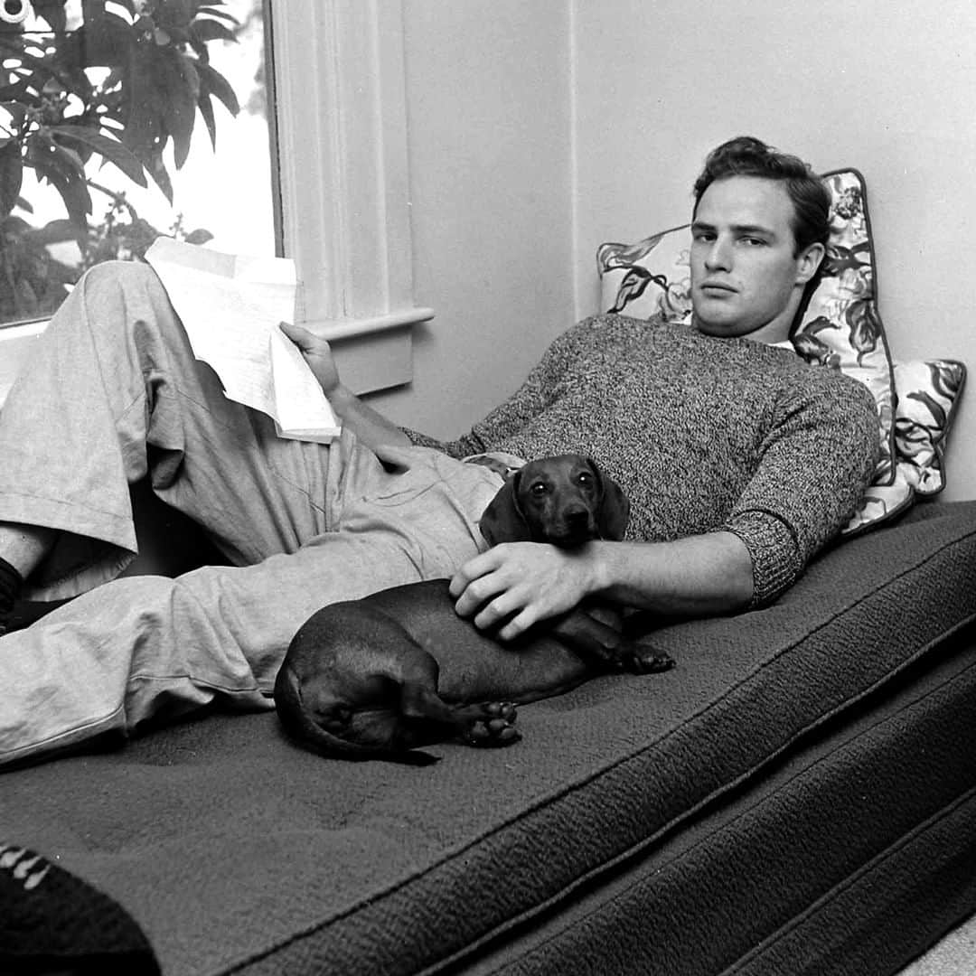 lifeさんのインスタグラム写真 - (lifeInstagram)「LIFE legend Marlon Brando was born 95 years ago today on April 3, 1924 in Omaha, Nebraska. He is pictured here reclining on a bed with pet dachshund while visiting his grandmother in Van Nuys, California, October 1949 during the filming of 'The Men'. (Ed Clark—The LIFE Picture Collection/Getty Images) #LIFElegends #wildLIFEwednesday #dogsofinstagram #MarlonBrando」4月3日 22時09分 - life