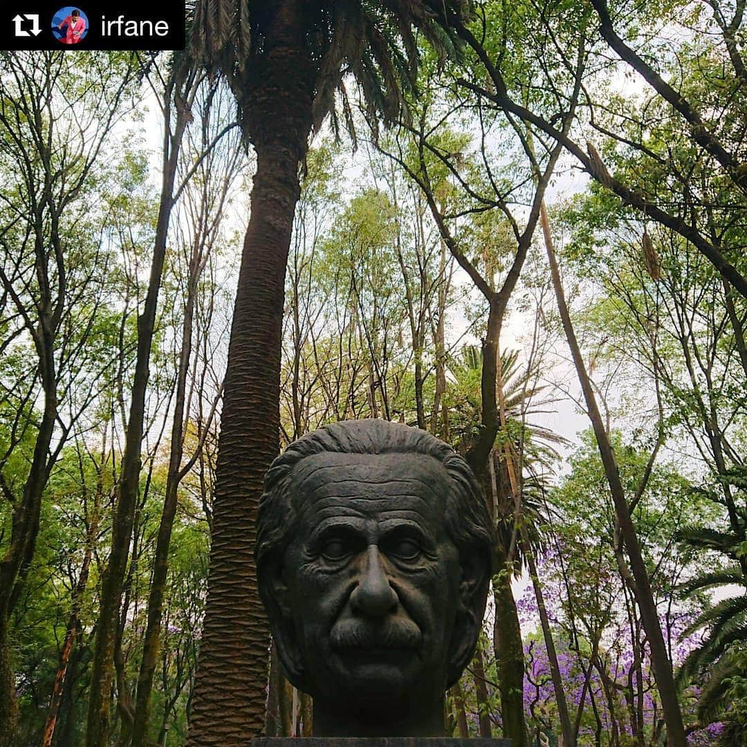 アルベルト・アインシュタインさんのインスタグラム写真 - (アルベルト・アインシュタインInstagram)「At the Albert Einstein Memorial Monument in Mexico. #Repost @irfane」4月3日 22時11分 - alberteinstein