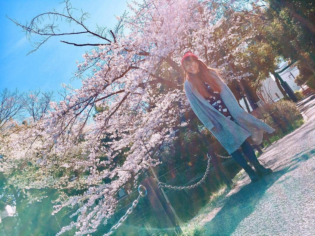 MARIA-Eさんのインスタグラム写真 - (MARIA-EInstagram)「. 桜をみると自然と口角が上がって 笑顔になれるね😌💖 . 桜パワー🌸 . #桜 #お花見」4月3日 22時20分 - maria.eeee