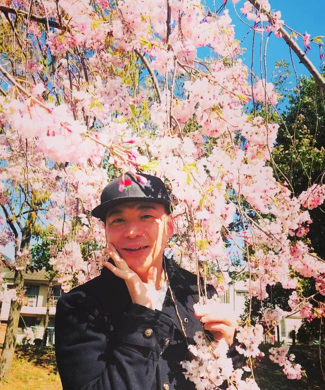 美川憲二さんのインスタグラム写真 - (美川憲二Instagram)「尾久の原公園の枝垂れ桜よ〜😍🌸🌸🌸🌸🌸🌸🌸🌸🌸🌸 お花見散歩楽しい〜😊✌️✌️ #尾久の原公園  #枝垂れ桜  #お花見散歩  #とても綺麗  #ルンルン気分  #美川憲二 #ものまね」4月3日 22時23分 - mikawakenji