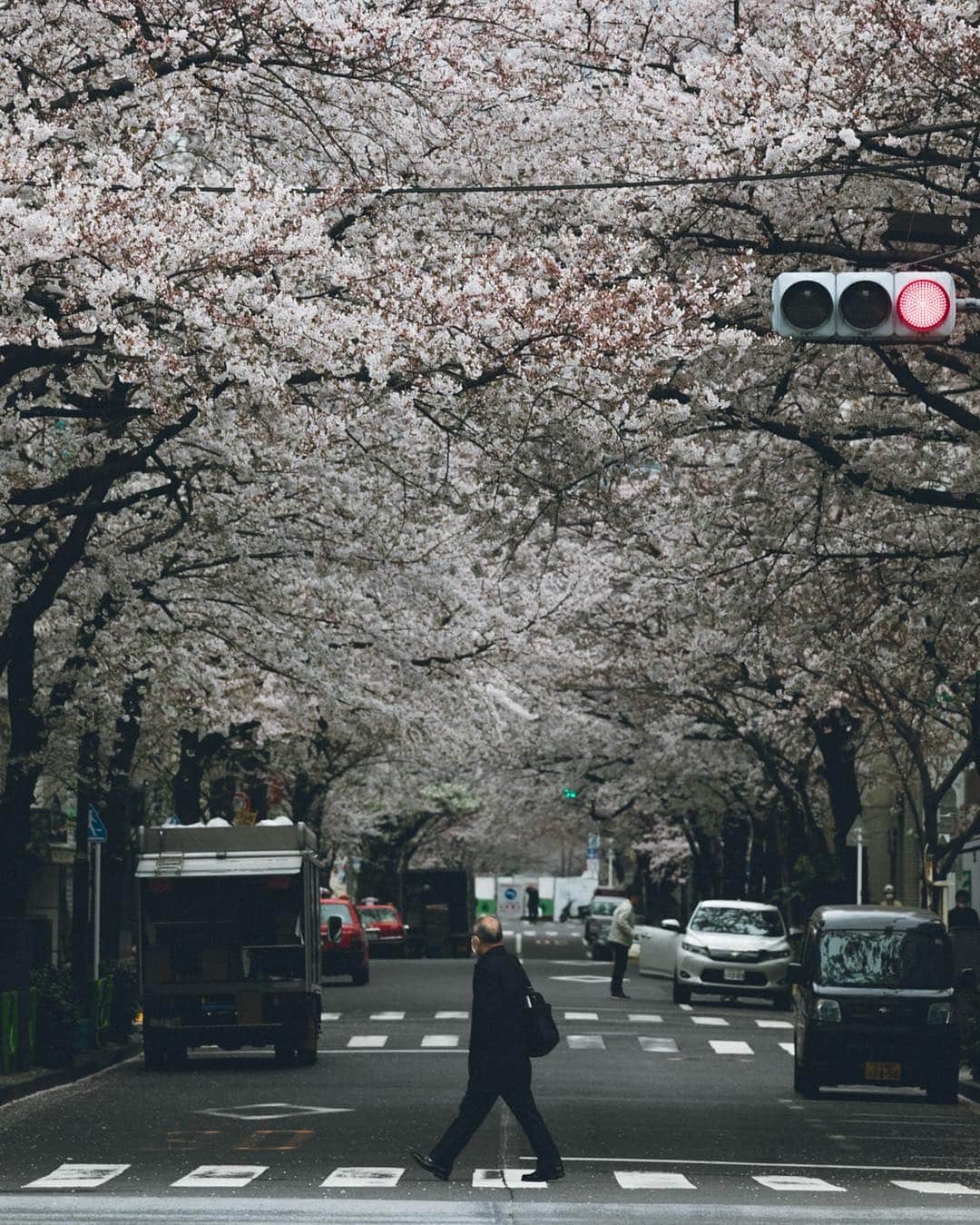 Yuma Yamashitaのインスタグラム：「🌸 #inspirationcultmag #hypebeastjp  #hbjp_photochallenge01」