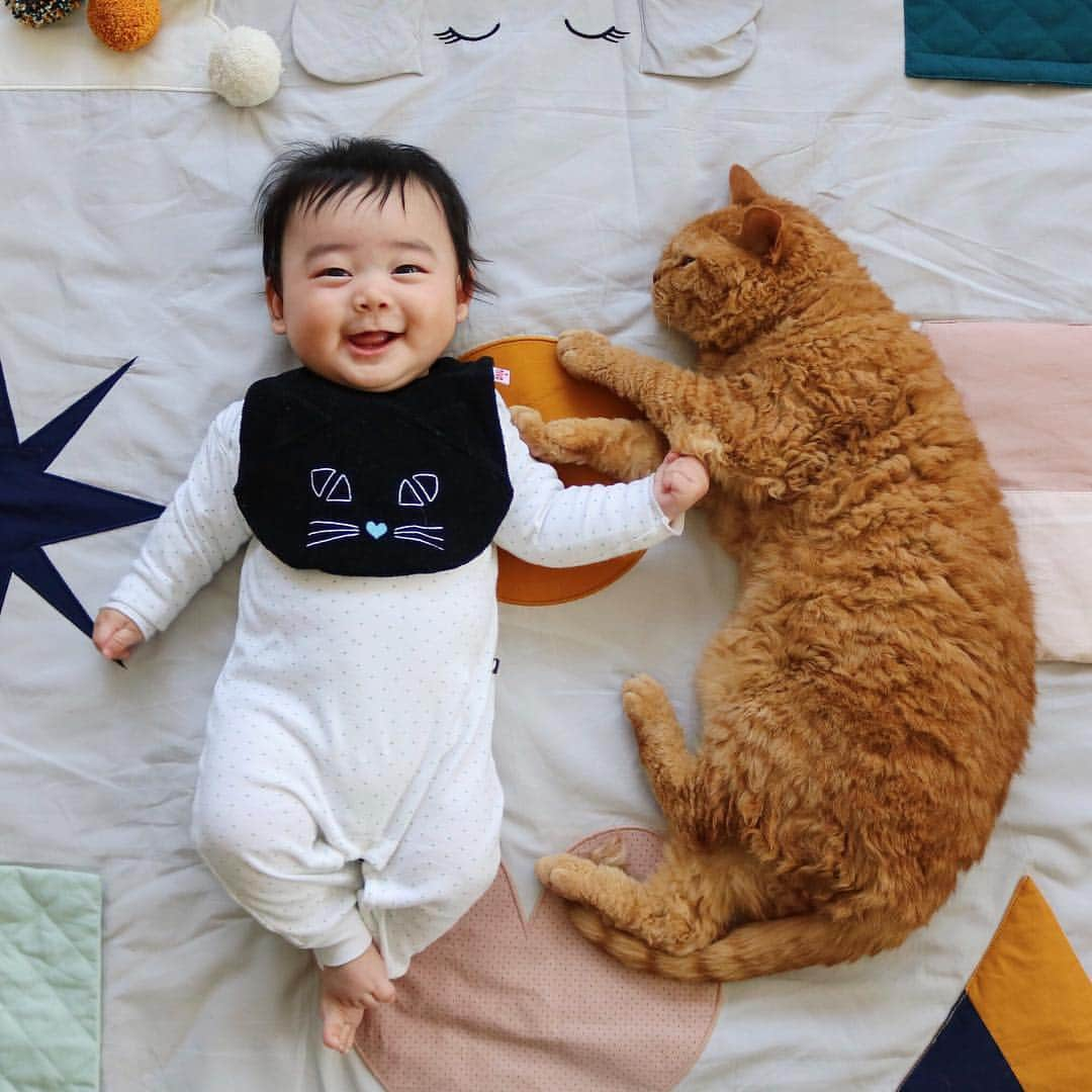 ギネス & ピムスさんのインスタグラム写真 - (ギネス & ピムスInstagram)「03/04/2019 Happy Wednesday! ・ Today, Nagi is 4 months old! Every day sees him growing up fast. He’s still got some catching up to do with Guinness, but is already as tall as Pimms! ・ Here’s photos to remember this day, with a bib that looks like Guinness. ・ Have a great day everyone! ・ ・ 今日で凪くん #生後4ヶ月 ！ ずいぶん大きくなった証拠にピム丸と大きさ比べ。 身長はほぼ同じかな？ ギネスは背が高いのでまだ凪くんより大きいです。 先日の日本旅行の際、どうしても欲しかった黒猫巾着と一緒に @niva___official さんのこちらのスタイを @nocoto_store で購入！ 他にも白猫とコウモリも可愛すぎてロンドンへ連れて帰りました。笑 産まれた時から猫アイテムに囲まれている凪くん。 密かに準備している離乳食アイテムも親の趣味で猫だらけ🤫 そんなわけで、 これからも#ギネピムと凪くん をよろしくお願いします♬ ・ ・ #4monthsold #babyboy #男の子べビー #赤ちゃんと猫 #赤ちゃんのいる生活 #赤ちゃんのいる暮らし」4月3日 22時43分 - rina_takei