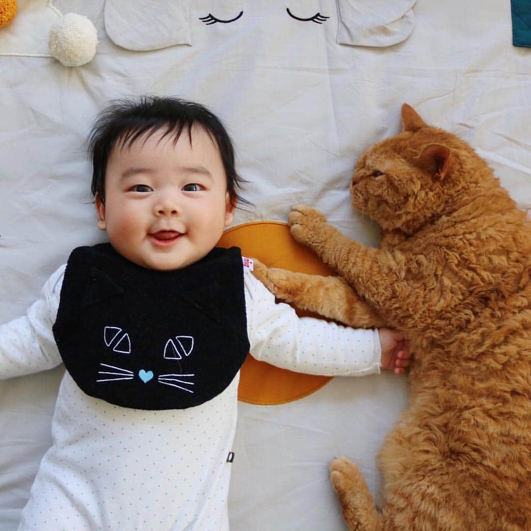 ギネス & ピムスさんのインスタグラム写真 - (ギネス & ピムスInstagram)「03/04/2019 Happy Wednesday! ・ Today, Nagi is 4 months old! Every day sees him growing up fast. He’s still got some catching up to do with Guinness, but is already as tall as Pimms! ・ Here’s photos to remember this day, with a bib that looks like Guinness. ・ Have a great day everyone! ・ ・ 今日で凪くん #生後4ヶ月 ！ ずいぶん大きくなった証拠にピム丸と大きさ比べ。 身長はほぼ同じかな？ ギネスは背が高いのでまだ凪くんより大きいです。 先日の日本旅行の際、どうしても欲しかった黒猫巾着と一緒に @niva___official さんのこちらのスタイを @nocoto_store で購入！ 他にも白猫とコウモリも可愛すぎてロンドンへ連れて帰りました。笑 産まれた時から猫アイテムに囲まれている凪くん。 密かに準備している離乳食アイテムも親の趣味で猫だらけ🤫 そんなわけで、 これからも#ギネピムと凪くん をよろしくお願いします♬ ・ ・ #4monthsold #babyboy #男の子べビー #赤ちゃんと猫 #赤ちゃんのいる生活 #赤ちゃんのいる暮らし」4月3日 22時43分 - rina_takei