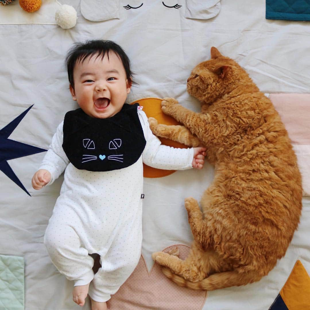 ギネス & ピムスさんのインスタグラム写真 - (ギネス & ピムスInstagram)「03/04/2019 Happy Wednesday! ・ Today, Nagi is 4 months old! Every day sees him growing up fast. He’s still got some catching up to do with Guinness, but is already as tall as Pimms! ・ Here’s photos to remember this day, with a bib that looks like Guinness. ・ Have a great day everyone! ・ ・ 今日で凪くん #生後4ヶ月 ！ ずいぶん大きくなった証拠にピム丸と大きさ比べ。 身長はほぼ同じかな？ ギネスは背が高いのでまだ凪くんより大きいです。 先日の日本旅行の際、どうしても欲しかった黒猫巾着と一緒に @niva___official さんのこちらのスタイを @nocoto_store で購入！ 他にも白猫とコウモリも可愛すぎてロンドンへ連れて帰りました。笑 産まれた時から猫アイテムに囲まれている凪くん。 密かに準備している離乳食アイテムも親の趣味で猫だらけ🤫 そんなわけで、 これからも#ギネピムと凪くん をよろしくお願いします♬ ・ ・ #4monthsold #babyboy #男の子べビー #赤ちゃんと猫 #赤ちゃんのいる生活 #赤ちゃんのいる暮らし」4月3日 22時43分 - rina_takei