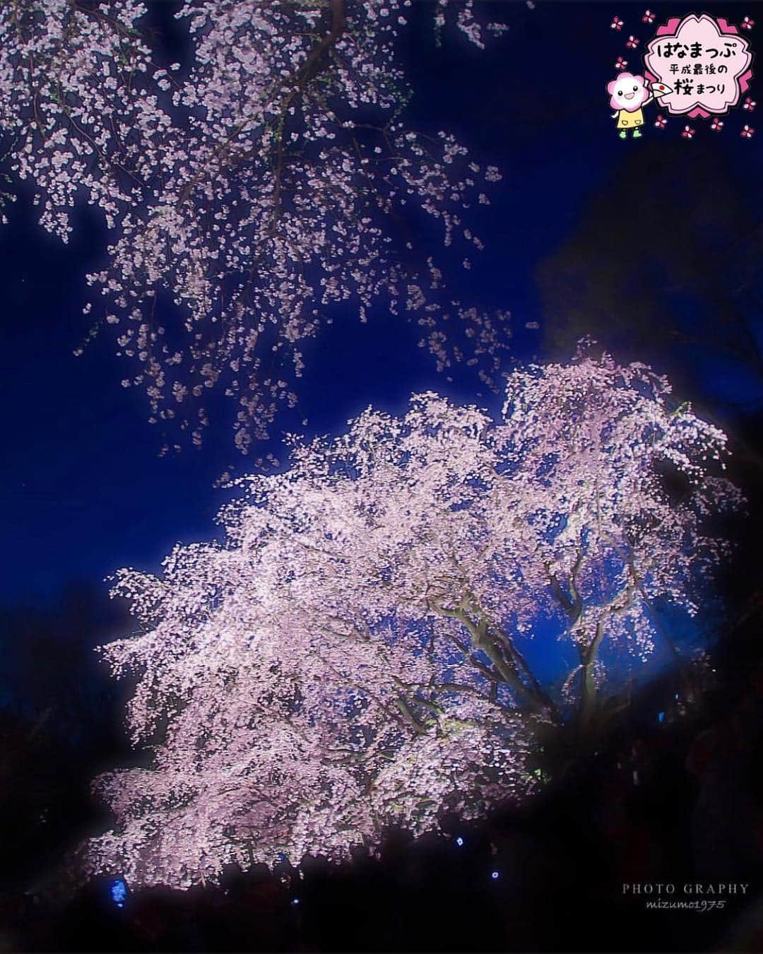 はなまっぷ❁日本の花風景さんのインスタグラム写真 - (はなまっぷ❁日本の花風景Instagram)「🍃🌸はなまっぷ平成最後の桜まつり🌸🍃 * @mizumo1975 さんの 平成の桜に花まるを💮 * 平成を彩る日本の美しい桜をありがとうございます😊🌸🍃 * 東京  #六義園 Rikugien, Tokyo. * 見頃を過ぎている場所もご紹介しています。 お出かけの際はHP等で最新の情報をご確認くださいね🙏🌸🍃 * 🌸•••🍃•••🌸•••🍃•••🌸•••🍃•••🌸 * 🌸桜まつり概要🌸 * 期間:平成最後の日まで タグ:#はなまっぷ * #はなまっぷ  のタグの中から、桜のお写真をどんどんご紹介させていただきます。期間中はランダムに、複数枚投稿でもご紹介させていただく場合がございます。 * #桜#sakura#花見#さくら#日本#春#花#平成最後の#満開#夜桜 * 🌸•••🍃•••🌸•••🍃•••🌸•••🍃•••🌸 * はなまっぷより * 💌LINEスタンプ「はなまっぷちゃん」絶賛発売中！みなさんのLINEにも花まるを💮 💌はなまっぷ本、Amazonや全国の書店さんで満開です！ぜひお手にとっていただけると嬉しいです🌸 * LINEスタンプ、はなまっぷ本は、プロフ欄記載のTwitterアカウントよりご確認ください。 * 🌸•••🍃•••🌸•••🍃•••🌸•••🍃•••🌸 *」4月3日 22時46分 - hanamap