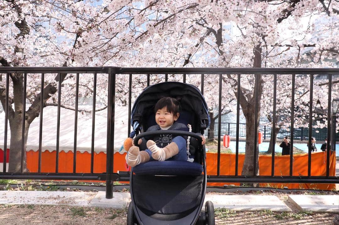 naoko tawaraさんのインスタグラム写真 - (naoko tawaraInstagram)「今日は娘の、昨日はわたしの誕生日でした。お祝いのメッセージありがとうございました☺︎ 娘は1歳になり、保育園もはじまりました。慣らし保育初日、泣いて抱きついてくれたりするかな〜と期待してお迎えにいきましたが、何事もなかったように平然としてました。頼もしいけれど、わたしとしてはもう少し、、、ね。 とはいいつつ、人見知りも場所見知りもないことはとても嬉しいことなので、たくさん出会って友達作っていろんなこと経験してほしいと思います。 娘と桜をみながら、去年はまだお腹にいたのに、今こうやって一緒に見れることがとても嬉しいです。 わたしは4月から本格的に仕事復帰予定です。実家のかつれつ亭のことや、展示会のプレス、芸術祭のお手伝いやセレクトショップでの販売や企画などが決まっています。graf時代になんでもやっていたので、そのまま何屋かわからい状態で進んでいます。おもしろそうなことや好きなことにはなんでも飛び込もうと思うので、何かありましたらお声がけください！内職も好きです 残りの平成も令和もよろしくお願い申し上げます。 #happybirthday #1歳 #sakura」4月3日 22時57分 - noknok705