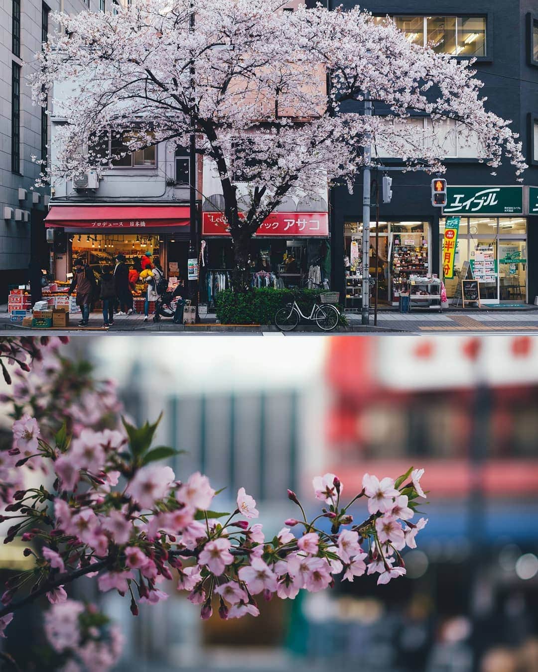 Takashi Yasuiさんのインスタグラム写真 - (Takashi YasuiInstagram)「Everyday life in Tokyo」4月3日 22時53分 - _tuck4