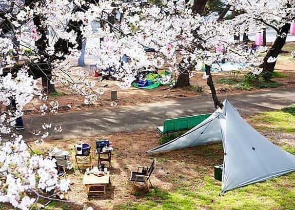 hinata_outdoorさんのインスタグラム写真 - (hinata_outdoorInstagram)「@kazzzz.zzさんのpic✨  見上げれば美しい桜🌸👏 下をみれば春らしい目を惹く👀 パステルカラーのテントに釘付け😆🎶 ⠀ ⠀ 〜今年も見納め👀👏桜とテントの共演お花見キャンプ🌸🏕〜 待ち望んだ桜も、咲いてから散るまではあっという間…🥺今年も見事な桜とコラボレーションしているキャンプサイト写真をご紹介します😆🙌 ⠀ ⠀ 🌳🌲🌼🌳🌲🌲🌳🌲🌳🌲🌻🌳🌳 #hinataoutdoor を付けて アウトドア風景を投稿してください😊 🌳🌲🌳🌲🌻🌲🌳🌲🌳🌼🌲🌳🌳 ⠀ ⠀ 素敵なお写真はリポストさせて頂きます✨ ⠀ ⠀ 🚙キャンプや山登りのアウトドア情報はプロフィールのURLから ➡ @hinata_outdoor ⠀ ⠀ ⠀ ⠀ 🍖美味しそうなキャンプ料理の写真は➡️ @hinata_gohan * * #キャンプ #春キャンプ #お花見キャンプ #アウトドア #アウトドアギア #桜 #サクラ#絶景キャンプ #campgear #outdoorgear #camp #campliving #outdoor #campstyle #camping #campinglife #camplife #outdoorstyle #outdoors #outdoorliving #outdoorlife #hinataoutdoor #フォローミー #followme」4月3日 23時01分 - hinata_outdoor