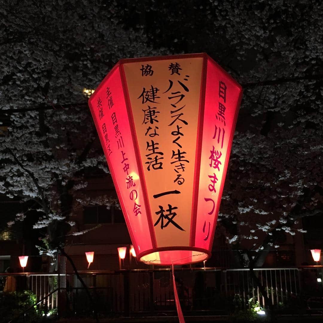 中倉隆道さんのインスタグラム写真 - (中倉隆道Instagram)「. サバ美ww . うし美www . . どゆこと？名前？ww . . バランスよく生きるって分かっちゃいるけどなかなか難しいんだよねーw めっちゃ共感！！ . . 桜もさる事ながら毎年ぼんぼりが気になる . #目黒川の桜 #目黒川のぼんぼり #目黒川の提灯おもろすぎ」4月3日 23時02分 - ryudo.tokyo