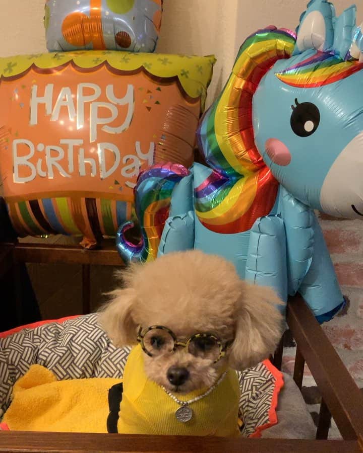 ❤︎Till❤︎のグルメインスタ