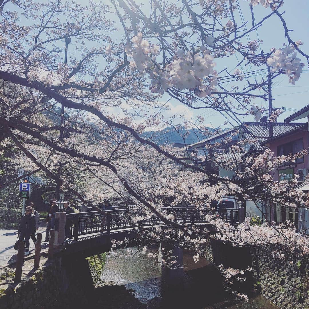 ひうらさとるのインスタグラム：「桃源郷かなって、ちょっと思う🎵 #彼方からの手紙 #城崎温泉」