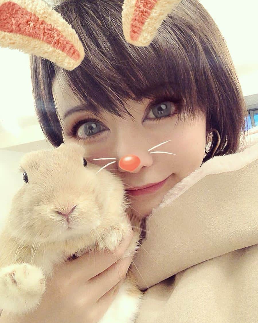 里美ゆりあのインスタグラム：「ポン太うさとゆりあうさ❤ 無事に去勢手術も終わり、ポン太お疲れ様でした( *˘ ³˘)♡♡♡ これで沢山チョコリンとも遊べるね🎶 #ネザーランドドワーフ#rabbit#仲良し#うさぎのいる生活」