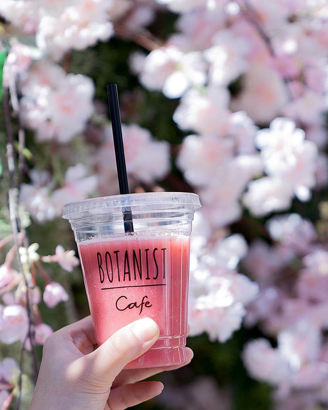 botanist officialさんのインスタグラム写真 - (botanist officialInstagram)「【PINK VITAMIN SMOOTHIES】 BOTANIST Tokyo（@botanist_tokyo) のボタニカルスムージーは、お試しになりましたか？ 見た目や味が違うのはもちろんですが、それぞれに推奨する効果があるんです♪ 気分に合わせて注文するのもオススメ✨ ⠀⠀ ＜PINK VITAMIN（ピンク ビタミン）＞ いちご+カリフラワー+はちみつ ⠀⠀ #インスタ映えする ピンク色のスムージーは、「お疲れ解消希望」の方にオススメです♪ 暖かくなるこれからの季節にピッタリのスムージー🌸 ぜひテイクアウトして、お花見に出かけるのはいかがですか？  Have you tried our botanical smoothies at Botanist Tokyo? We offer various smoothies containing different types of vitamins and minerals. Choose the one that speaks to you!  Introducing our Pink Vitamin Smoothie!  Containing fresh strawberries, cauliflower and honey.  A vibrant pink smoothie that is as instagrammable as it is good for fatigue, lifting your spirits!  Why not come around the café, grab one to go and enjoy the lovely cherry blossoms outside? ⠀⠀ #BOTANIST #ボタニスト #botanisttokyo #ボタニストトウキョウ #お花見 #春の訪れ #🌸 @botanist_official」4月3日 14時50分 - botanist_official