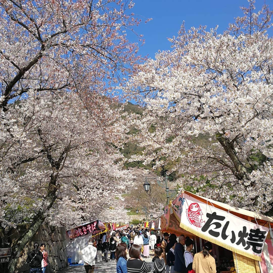 岡田達也さんのインスタグラム写真 - (岡田達也Instagram)「やっとこさ晴天。 東京で見ても、鳥取で見ても、桜は桜。 とてもキレイです。  出店やりたいなぁ。  #鳥取 #鳥取城跡 #久松山 #久松公園  #仁風閣 #桜 #岡田達也  #写ってないけど麦とポップ」4月3日 14時59分 - tatsuyajiru