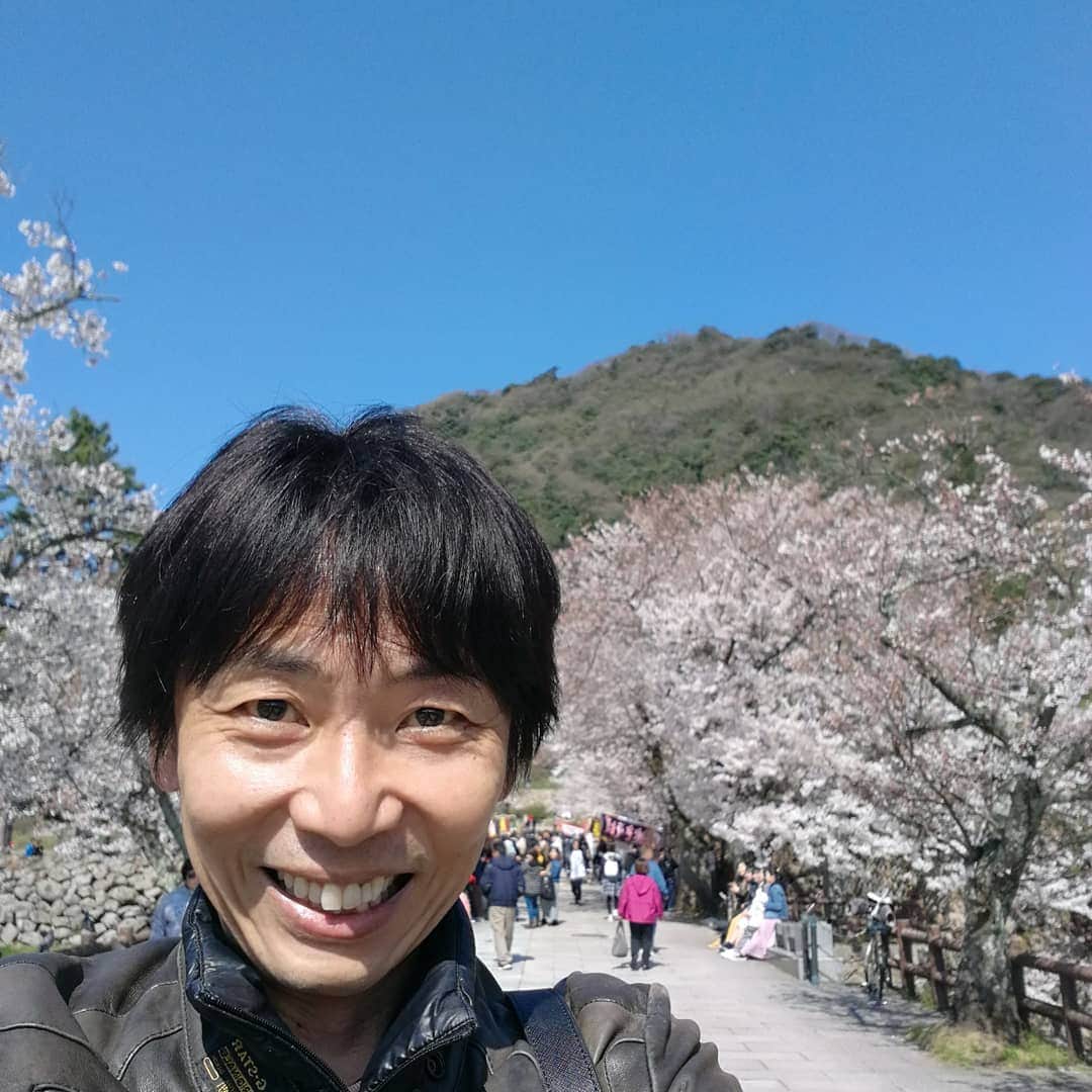 岡田達也のインスタグラム：「やっとこさ晴天。 東京で見ても、鳥取で見ても、桜は桜。 とてもキレイです。  出店やりたいなぁ。  #鳥取 #鳥取城跡 #久松山 #久松公園  #仁風閣 #桜 #岡田達也  #写ってないけど麦とポップ」